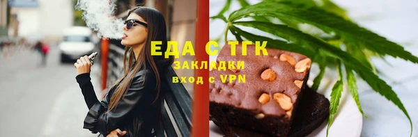 индика Гусь-Хрустальный