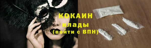 индика Гусь-Хрустальный