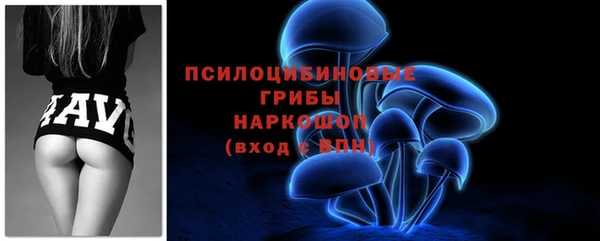 2c-b Горно-Алтайск