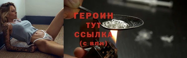 индика Гусь-Хрустальный