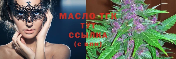 2c-b Горно-Алтайск