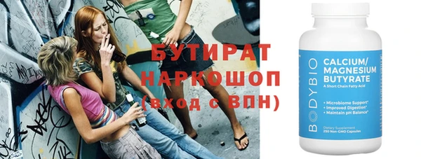 индика Гусь-Хрустальный