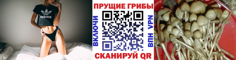 Псилоцибиновые грибы прущие грибы Лянтор